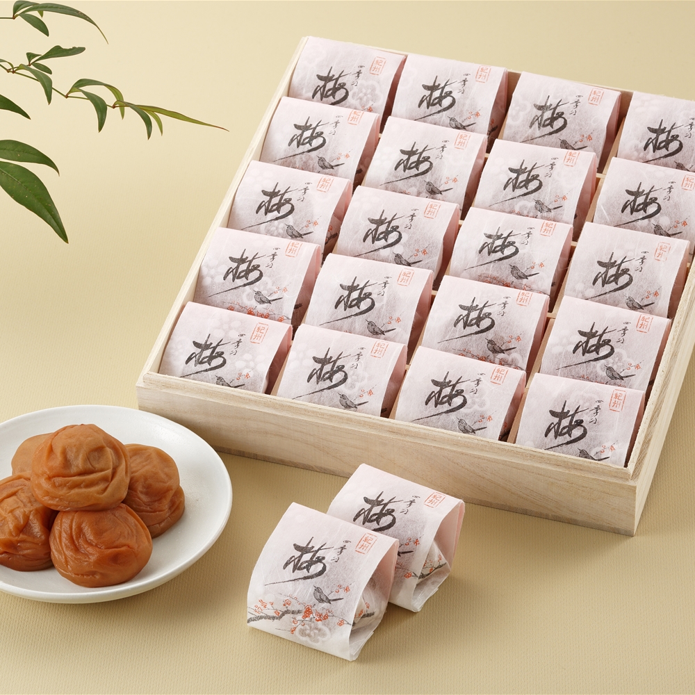 和歌山　紀州南高梅　梅満開　B