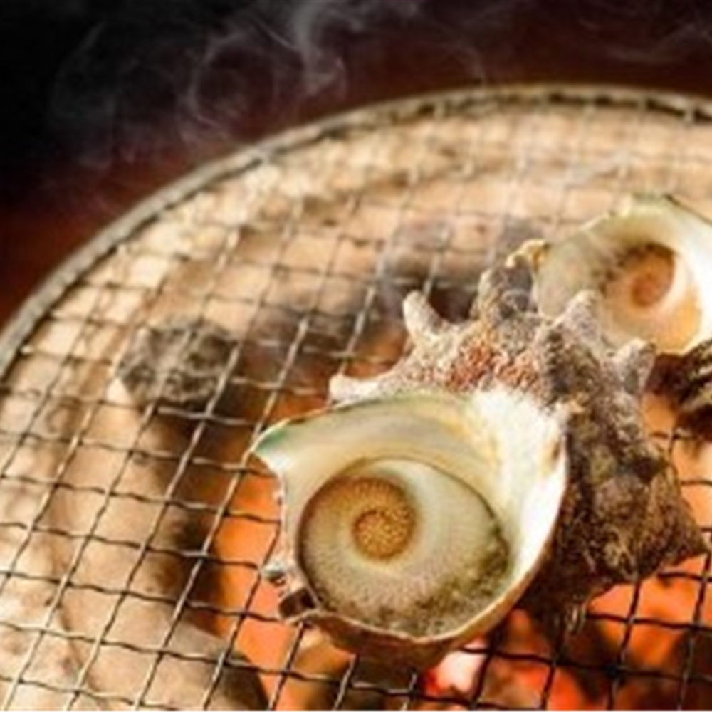 冷凍サザエ　600g