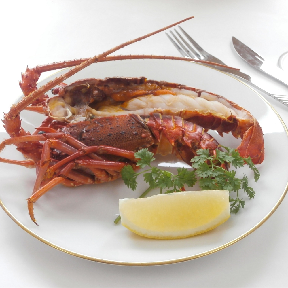 徳島 「吟月」 天然冷凍伊勢海老（２尾）