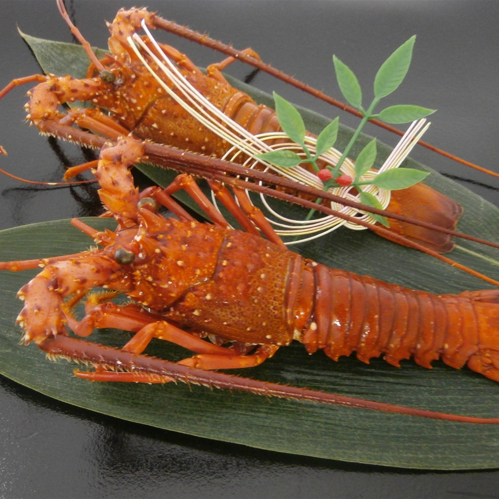 徳島 「吟月」 伊勢海老の塩蒸し