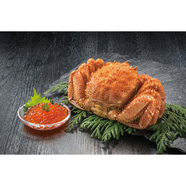 北海道 「カネコメ田中水産」 毛がに・いくらセット