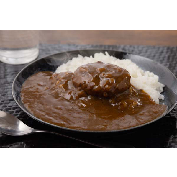 【個別専用】「三田屋総本家」 ハンバーグカレー(20食)