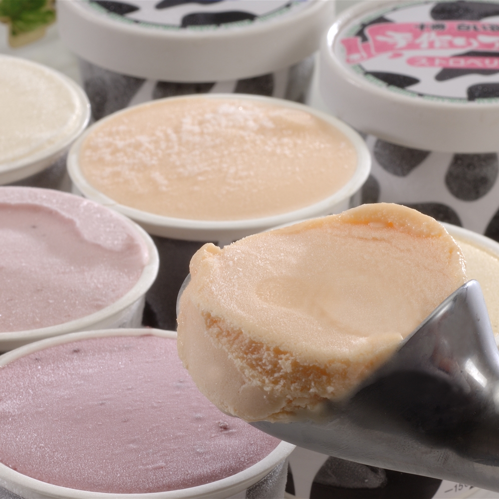 北海道 「十勝ドルチェ」 十勝白い牧場アイス　15個