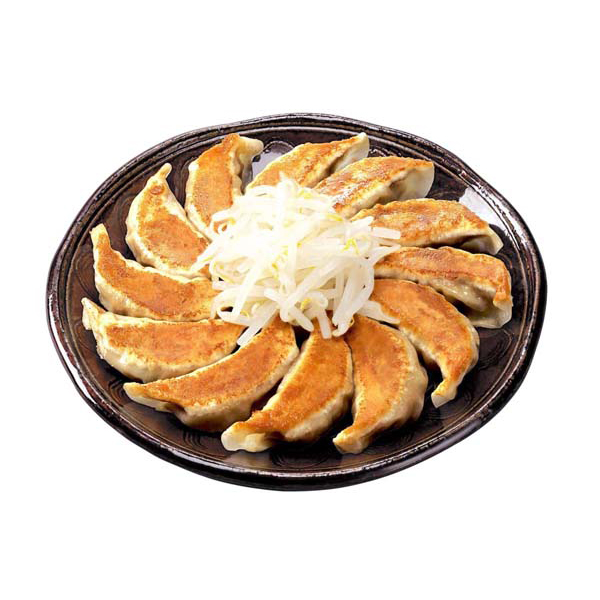 静岡 「五味八珍」 浜松餃子6袋セット