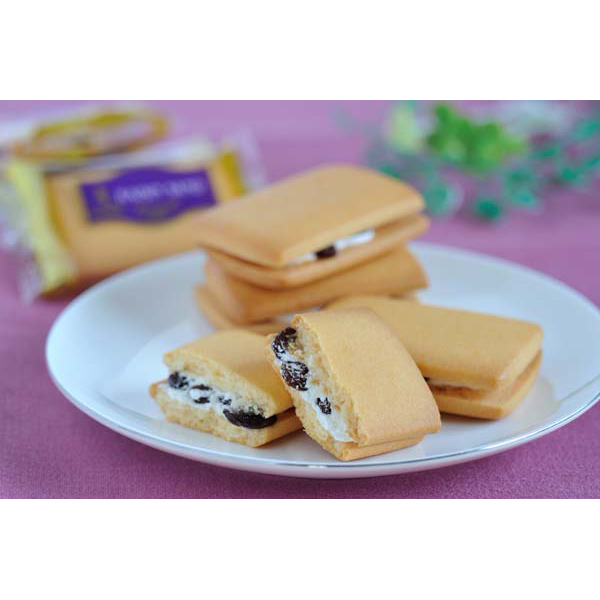 鉄人 坂井宏行監修レーズンサンド