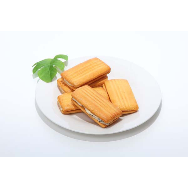 鉄人 坂井宏行監修 ガトーレーズン