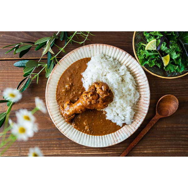 徳島 AWAODORI LAB 骨付きカレー・ガパオ・バターチキンカレー9個セット