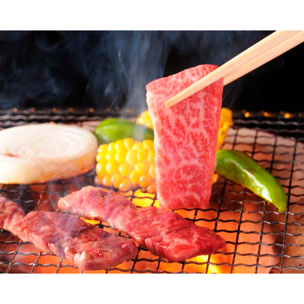 岐阜　飛騨牛　焼肉用4部位食べ比べセット