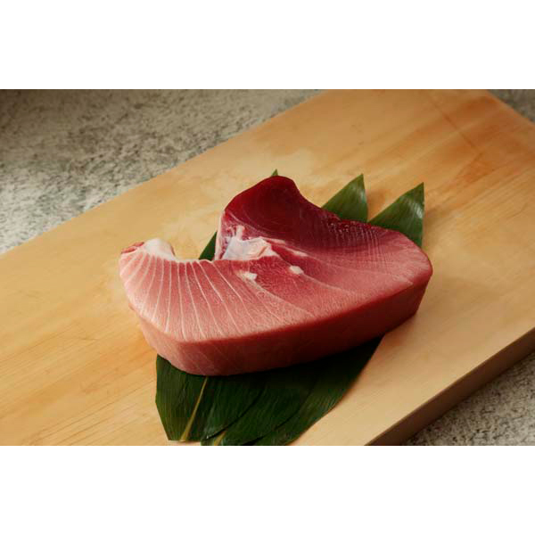 静岡焼津 天然南まぐろ ブロック(大トロ付)500g