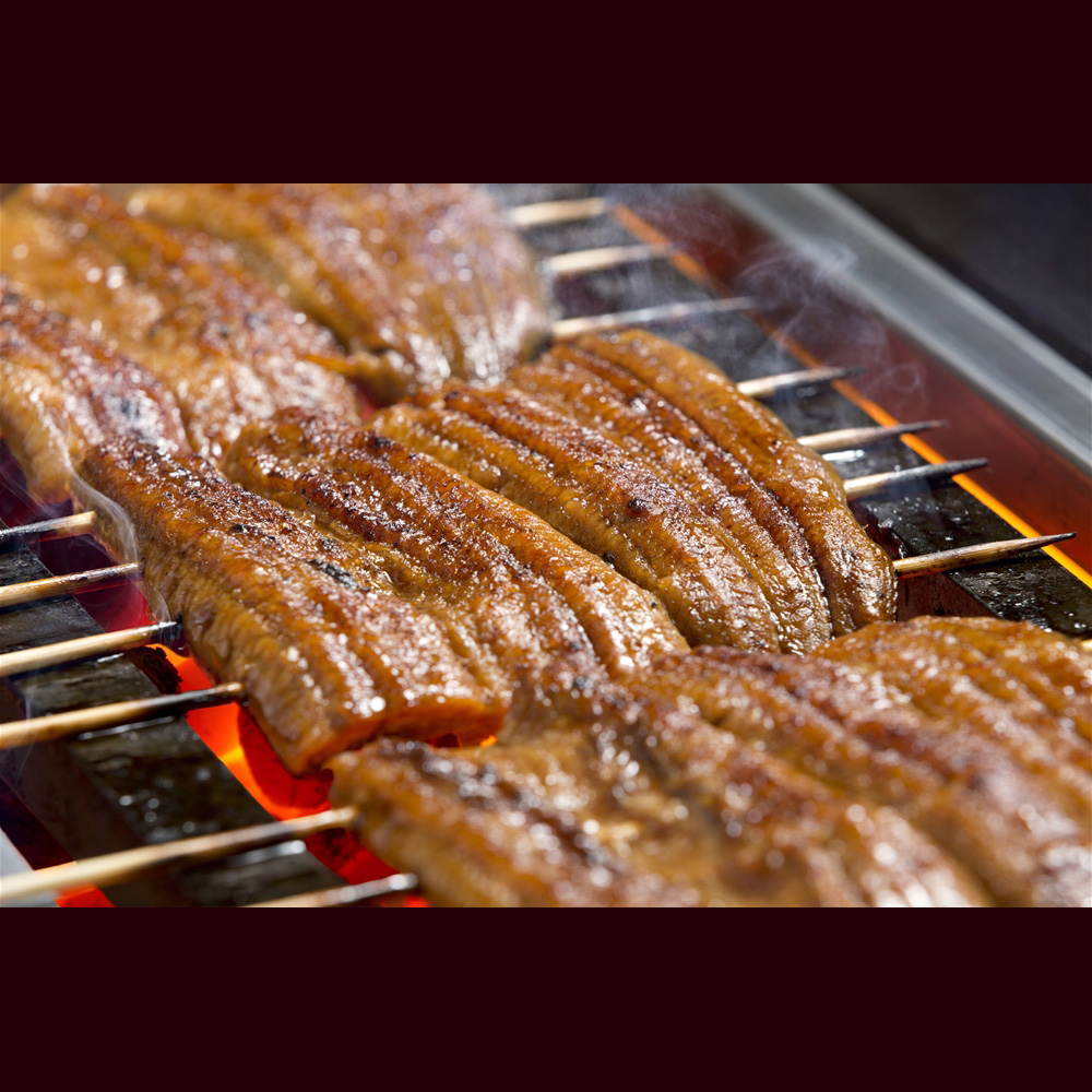 生産者限定　宮崎県産うなぎ蒲焼