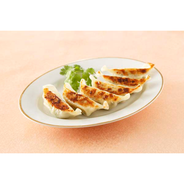 東京 「赤坂四川飯店」監修 餃子10袋セット