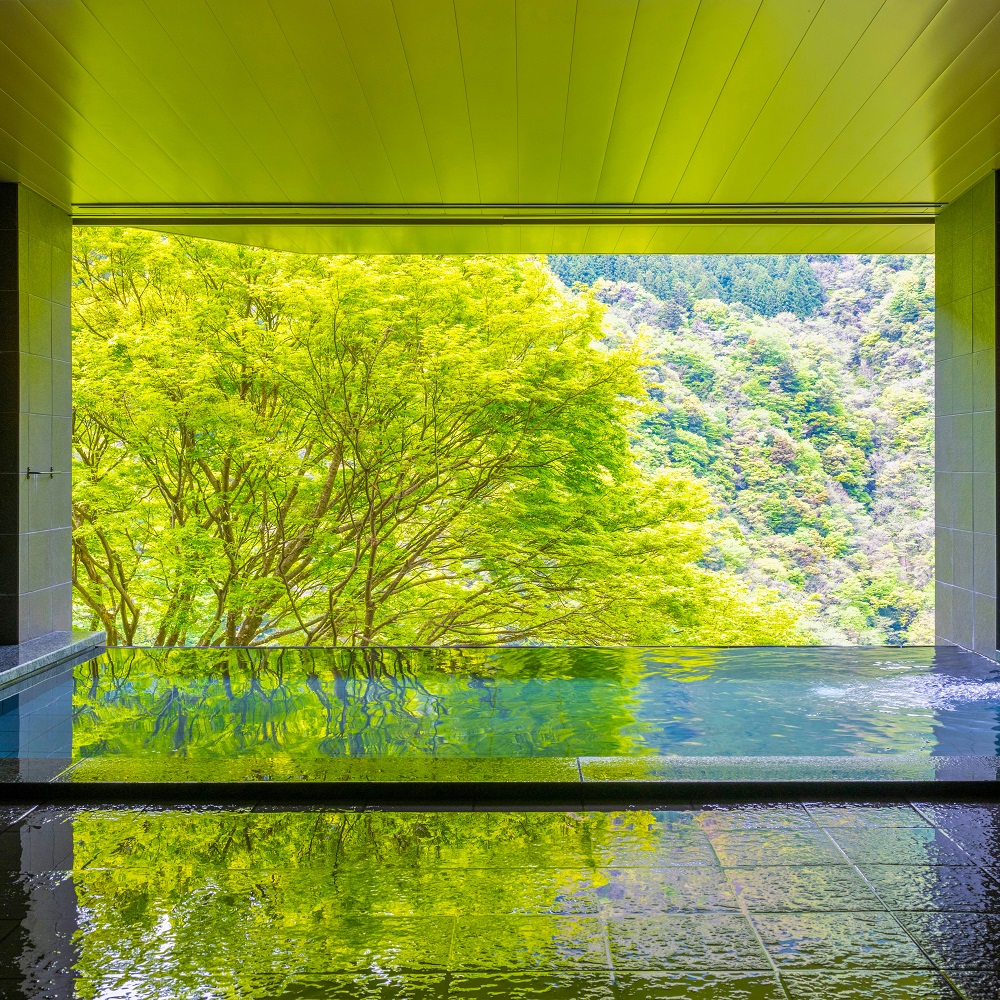 和の宿ホテル祖谷温泉　2名様　日帰り入浴プラン(食事なし・オリジナルノベルティ1個付)