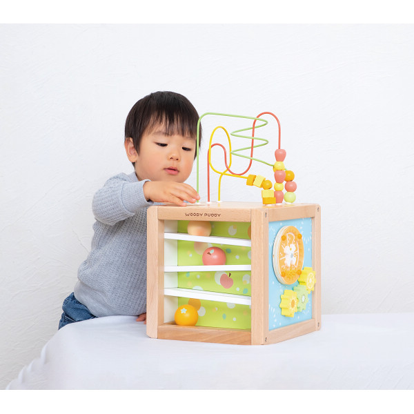 ウッディプッディ　あそびたっぷり　フルーツアクティビティボックス