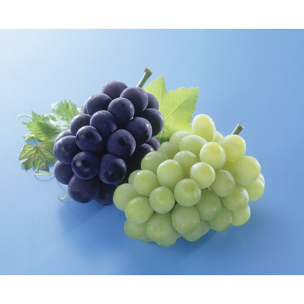 シャインマスカット・ピオーネセット