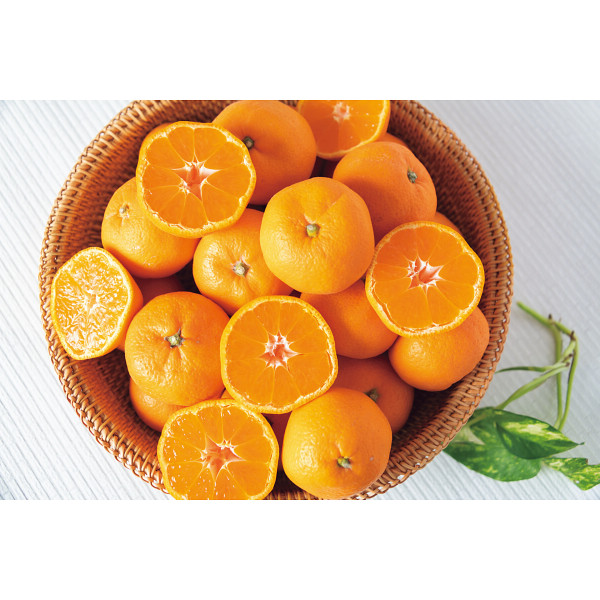 和歌山県産　紀南木熟みかん（５ｋｇ）