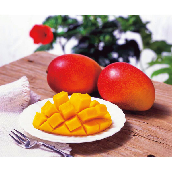 宮崎県産　完熟マンゴー（２玉）