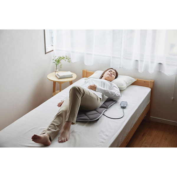 ツインバード　シートマッサージャー