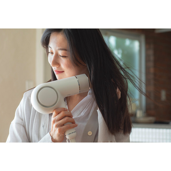 ツインバード　ケアドライヤー