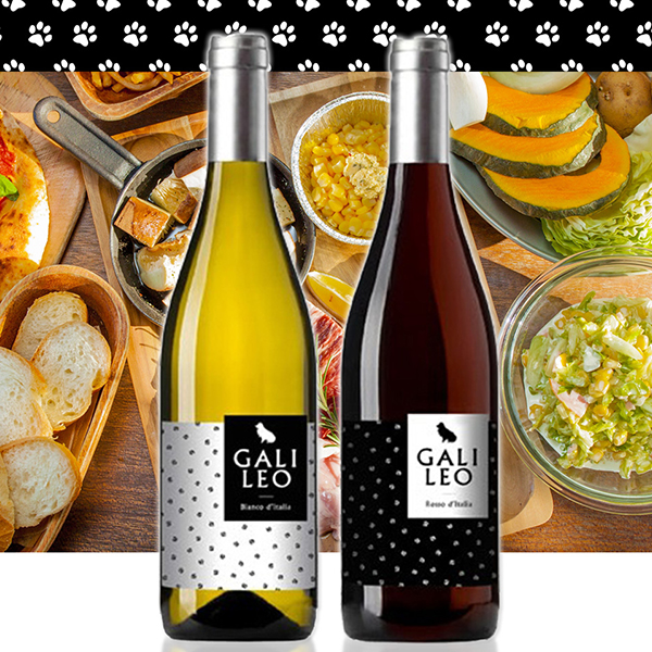 犬ラベル・ガリレオ赤白　